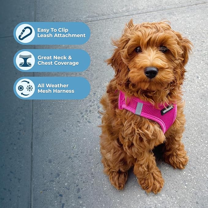 Voyager Step-in Air Dog Harness - All Weather Mesh Step in Vest Harness for Small and Medium Dogs by Best Pet Supplies - Harness (Fuchsia), X-Small