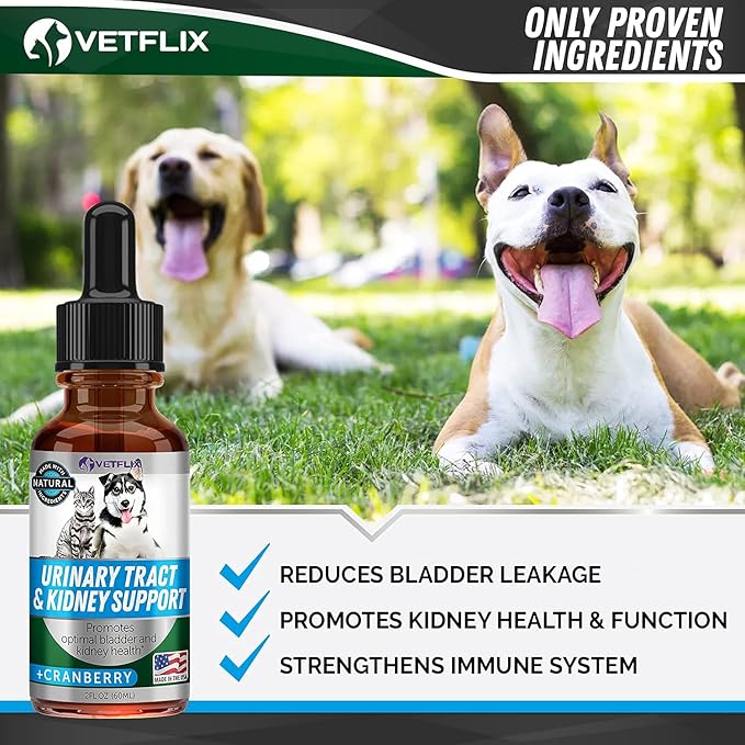 Cranberry Dog & Cat UTI Treatment - Best UTI for Pets - Made in USA - Dog & Cat Kidney Support - Cat Bladder Drops - Pet Immune Health Supplement - Marshmallow, Dandelion Root, Pumpkin Seed
