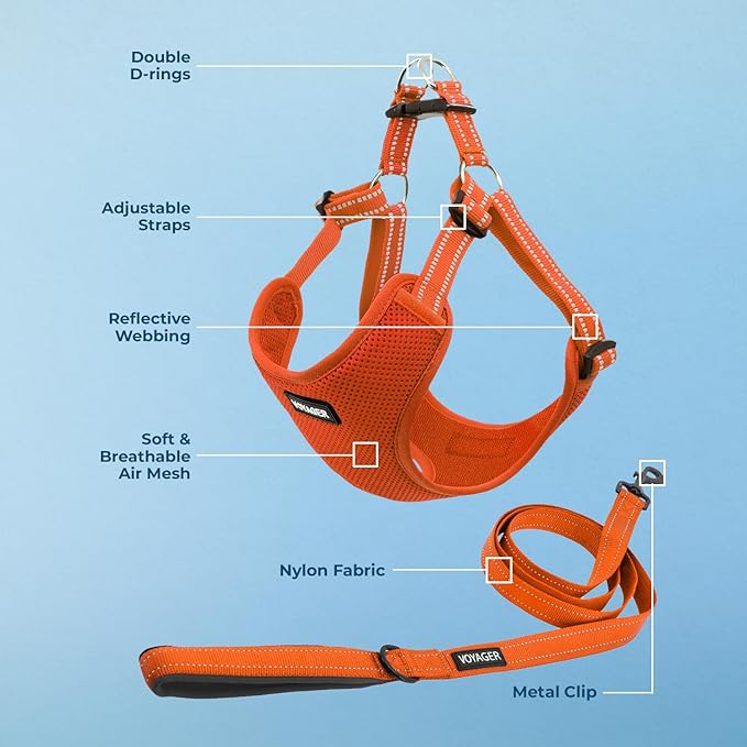 Best Pet Supplies Voyager Adjustable Dog Harness Leash Set with Reflective Stripes for Walking Heavy-Duty Full Body No Pull Vest with Leash D-Ring, Breathable All-Weather - Harness (Orange), M