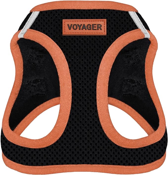 Voyager Step-In Air Dog Harness - All Weather Mesh Step in Vest Harness for Small and Medium Dogs by Best Pet Supplies - Orange, Large