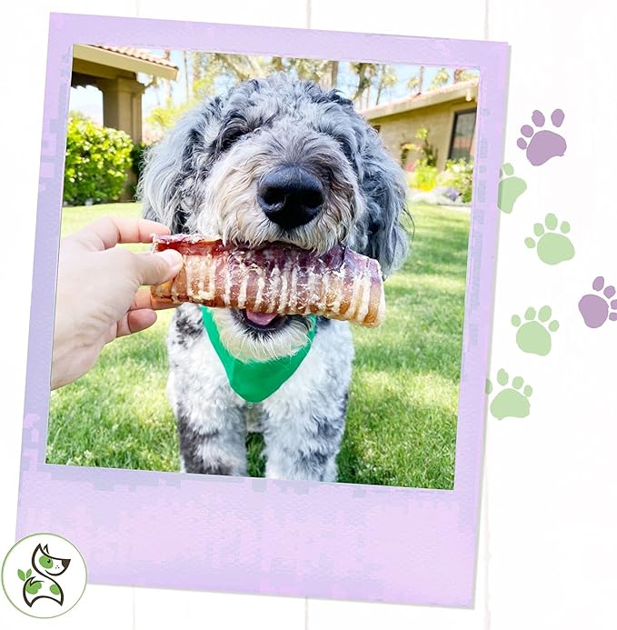 Nature Gnaws Beef Trachea for Dogs - Premium Natural Beef Bones - Simple Single Ingredient Crunchy Dog Chew Treats - Rawhide Free 6 Count