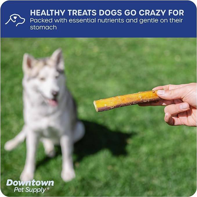 Downtown Pet Supply Bully Sticks for Dogs (12", 5-pack, Jumbo) Non-GMO, Grain Free, Rawhide Free Dog Chews Long Lasting Pizzle Sticks - Low Odor Bully Sticks for Large Dogs