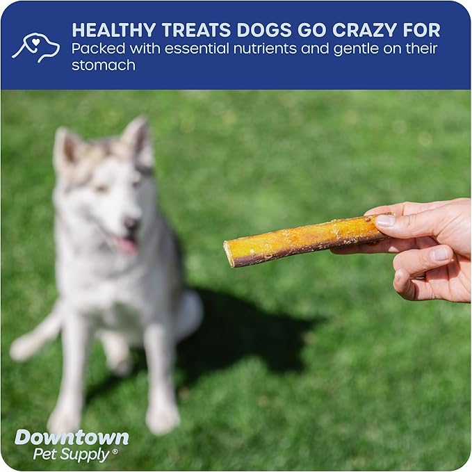 Downtown Pet Supply Bully Sticks for Dogs (6", 15-pack, Jumbo) Non-GMO, Grain Free, Rawhide Free Dog Chews Long Lasting Pizzle Sticks - Low Odor Bully Sticks for Large Dogs