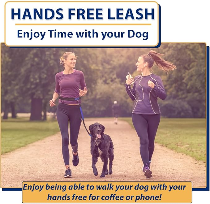 Hands Free Dog Leash for 2 dogs - 2 Convenient Pouches on This Nifty Hands Free Leash - Padded Handles and 2 Tough Bungees - Perfect waist leash for dog walking, running or adventuring