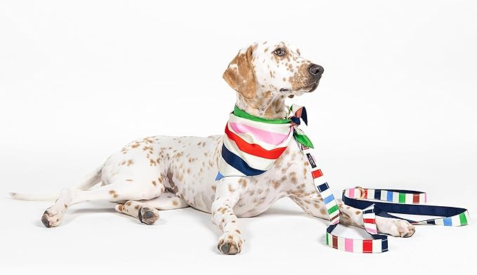 Kate Spade New York Heavy Duty Leash for Female or Male Dogs, Cute Pet Leash with Gold Metal Hardware, Long Dog Lead for Small Medium Large Breeds (Large, Adventure Stripe)