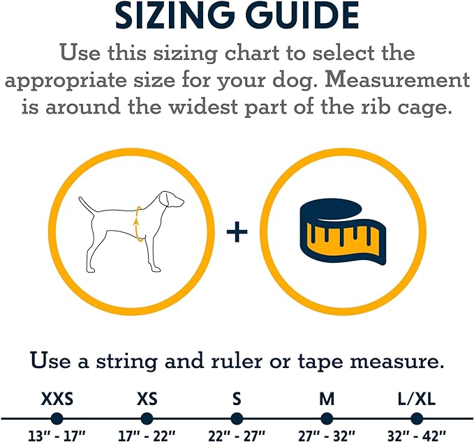 Ruffwear, Web Master, Multi-Use Support Dog Harness, Hiking and Trail Running, Service and Working, Everyday Wear, Slate Blue, XX-Small