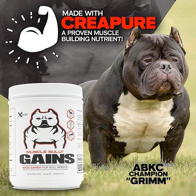 Gains - Mass Weight Gainer, Whey Protein for Dogs (Bull Breeds, Pit Bulls, Bullies) Increase Healthy Natural Weight, Made in The USA (45 Servings)