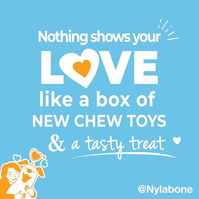 Nylabone Dog Toy Gift Box, includes 3 Strong Chew Toys and 1 Dog Treat, Chew Toys for Puppies, Small/Regular (4 Count)