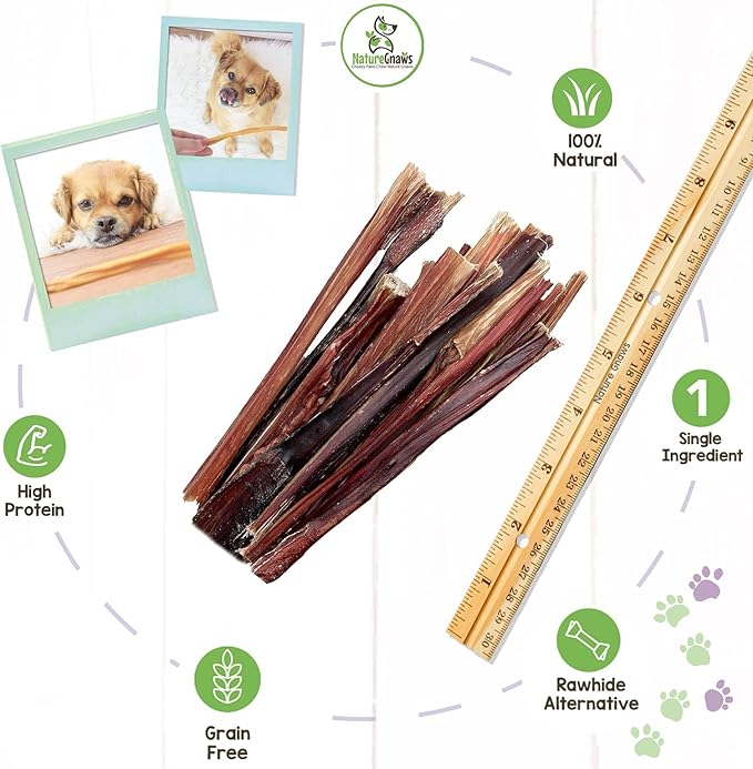 Nature Gnaws Super Skinny Bully Sticks for Small Dogs - Premium Natural Beef Dental Bones - Tasty Thin Dog Chew Treats for Toy Breeds & Puppies - Rawhide Free 40 Count (Pack of 1)