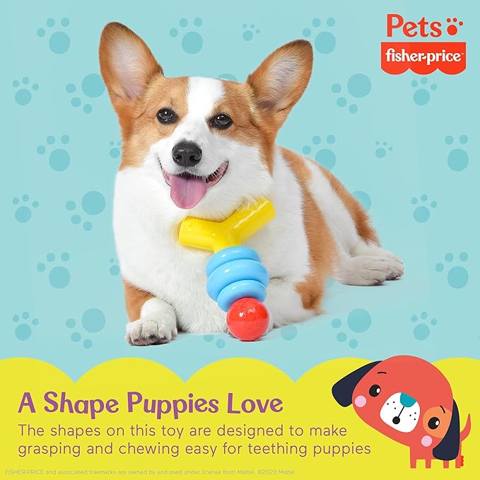 Fisher-Price for Pets Stack N' Relax Resilient Chewer Teething Toy for Puppies | Chew Toy for Puppies, Puppy Teething Toy, Puppy Teether | Multifunctional Dog Toy, Treat Hide Dog Toy