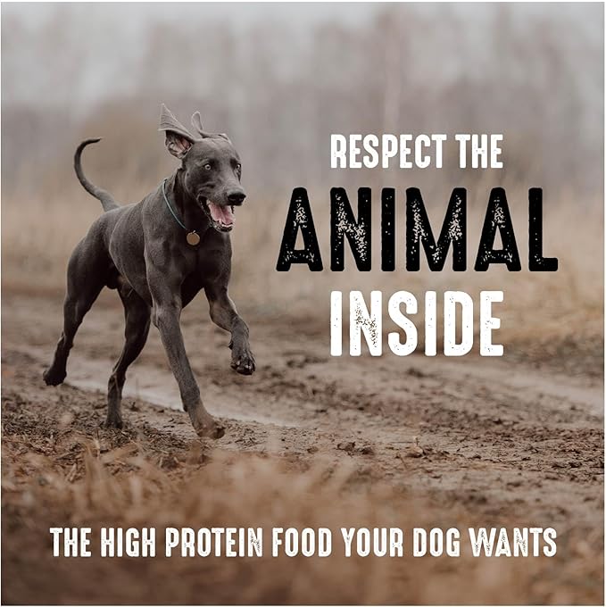 CRAVE Grain Free High Protein Adult Dry Dog Food, Beef, 12 lb. Bag