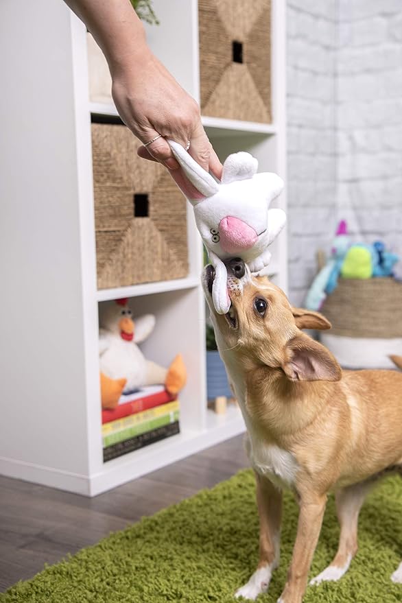 goDog Big Nose Bunny Squeaky Plush Dog Toy, Chew Guard Technology - White, Small
