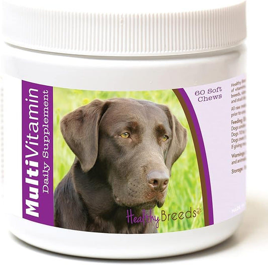 Healthy Breeds Labrador Retriever Multi-Vitamin Soft Chews 60 Count