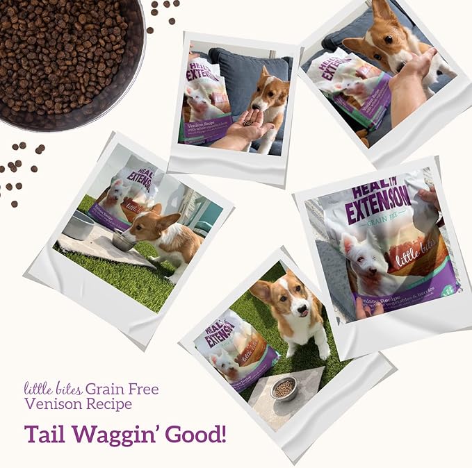 Health Extension Grain Free Little Bites for Dogs, Natural Food with Added Vitamins & Minerals, Perfect for Teacup, Toy & Small Dogs, Venison & Sweet Potato Little Bites Recipe (3.5lb Bag)