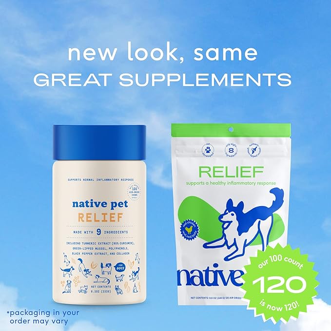 Native Pet Relief - Anti Inflammatory for Dogs | Turmeric + Polyphenols + Green Lipped Mussels for Dogs | Natural Relief for Dogs | Best Dog Arthritis Supplement & Dog Joint Pain Relief | 120 Chews