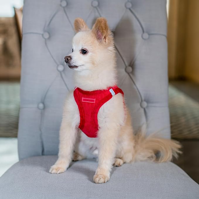 Voyager Step-In Plush Dog Harness – Soft Plush, Step In Vest Harness for Small and Medium Dogs by Best Pet Supplies - Harness (Red Corduroy), S (Chest: 14.5 - 16")