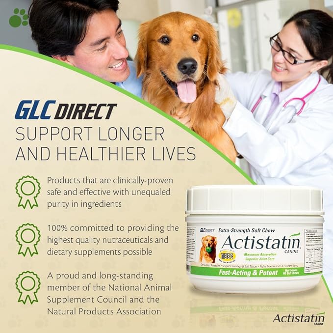 Canine Large Dog Soft Chews, 60ct – Patented Extra-Strength Joint, Cartilage, Soft Tissue Supplement: Glucosamine, Chondroitin, Manganese, MSM, L-Carnitine – High Absorption, Fast Results
