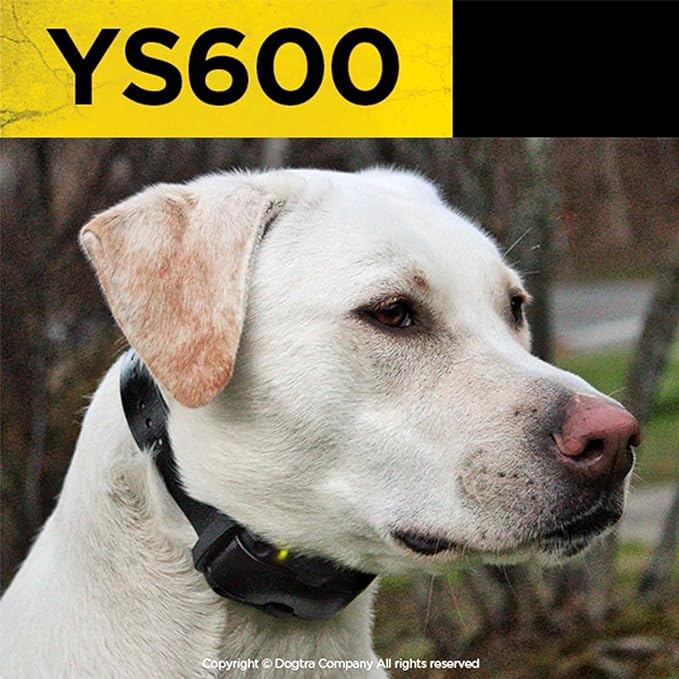 Dogtra YS600 Rechargeable Waterproof High-Output No Bark Collar