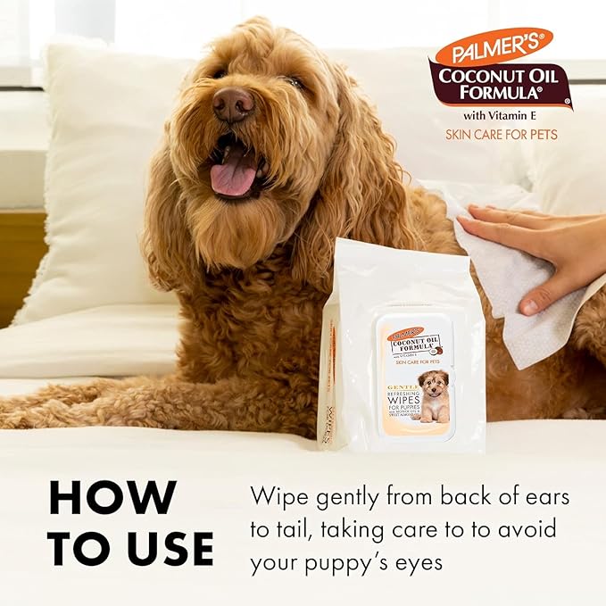 Palmer's for Pets Cocoa Butter Refreshing Dog Wipes, 100 Ct | Cocoa Butter Wipes for Dogs | Paraben & Phthalate Free Dog Grooming Wipes for Dogs, Palmers Dog Bath Wipes