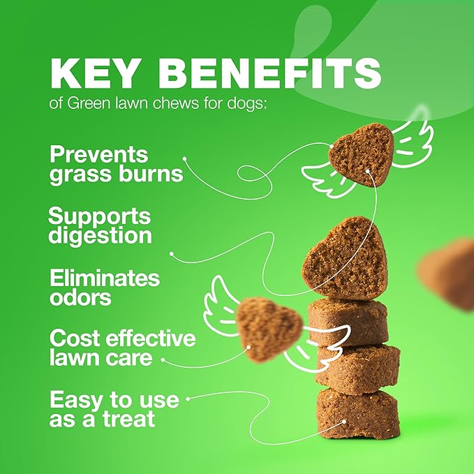 Grass Burn Spot Chews for Dogs - Dog Urine Neutralizer for Lawn - Grass Savers for Dog Urine - Dog Pee Lawn Spot Saver Caused by Dog Urine - Grass Treatment Rocks - Probiotics, Enzymes & Multivitamins