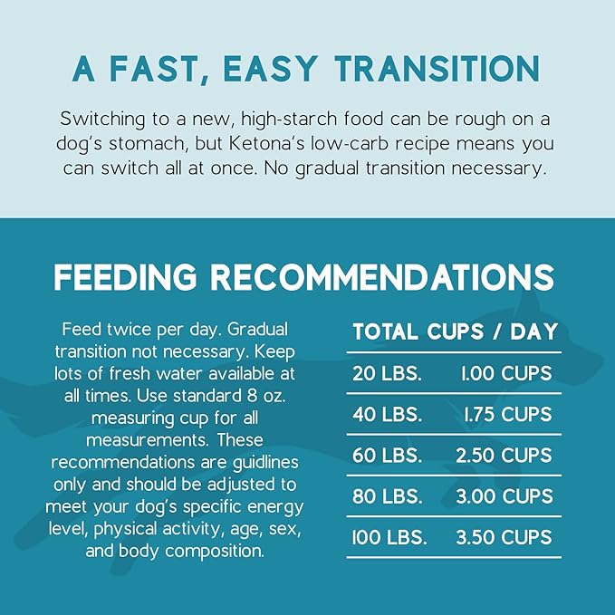 Ketona Salmon Recipe Adult Dry Dog Food, Natural, Low Carb (Only 5%), High Protein (46%), Grain-Free, The Nutrition of a Raw Diet with The Cost and Convenience of a Kibble; 4.2 lb