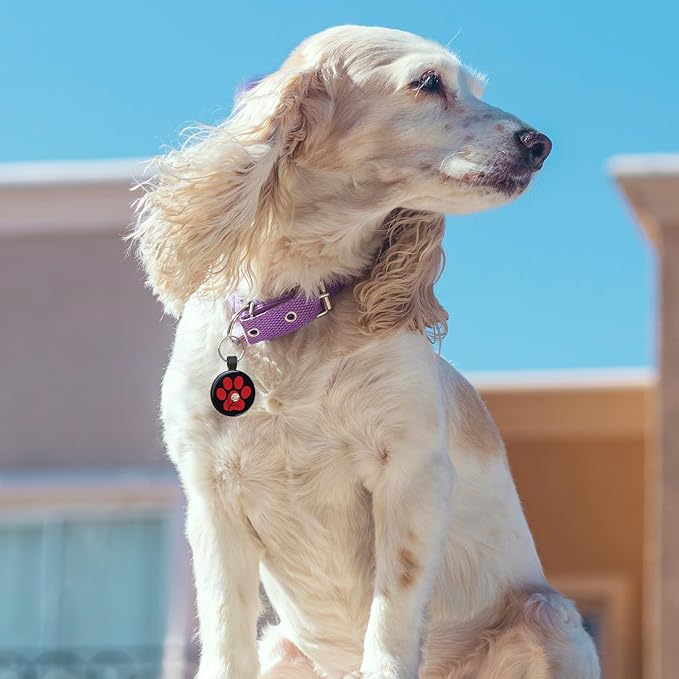 MYLUCKYTAG QR Code Pet ID Tags Dog Tags - Pet Online Profile - Scan QR Receive Instant Pet Location Alert Email