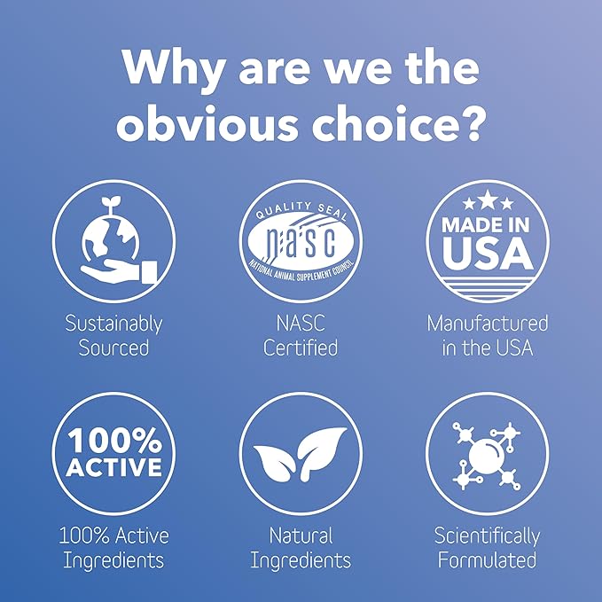 In Clover BioRen Kidney Health for Dogs & Cats