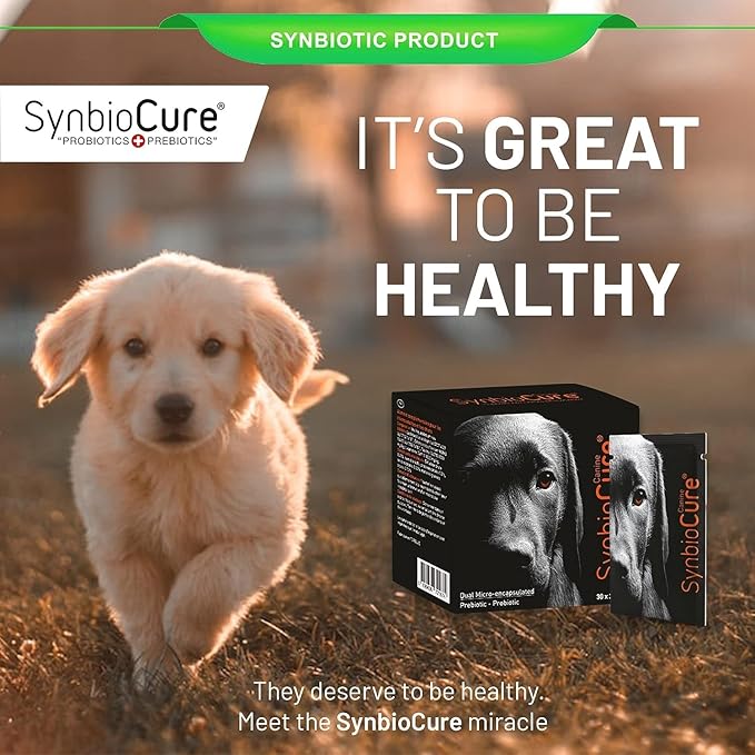 I Probiotics & Prebiotics for Dogs I Powder Dog Supplement I Digestive Health Support I 200 Billion Bacteria Per Sachet I 30 Sachets*2 g