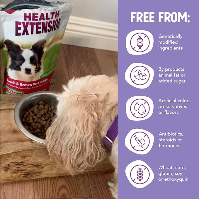 Health Extension Dry Dog Food, Natural Food for All Puppies & Dogs with added Vitamins & Mineral, Lamb & Brown Rice Recipe (15 Pound / 9.07 Kg)