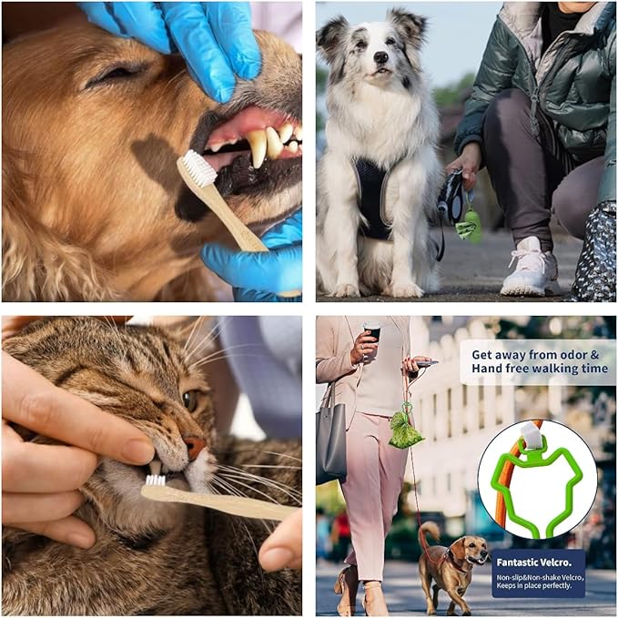 Dog Toothbrush,Pets Bamboo Tooth Brush Double-Sided Small & Large Head Toothbrushes for Dogs Cats,Biodegradable Eco-Friendly Teeth Cleaning Tool (6 Pack with Bag Holder)