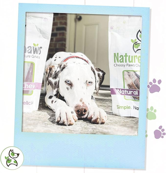 Nature Gnaws Variety Pack - Long Lasting Dog Chews for Dogs - Combo Pack of Bully Sticks, Beef Gullet and More - Dental Chews - Puppy Training Reward Large (12ct)