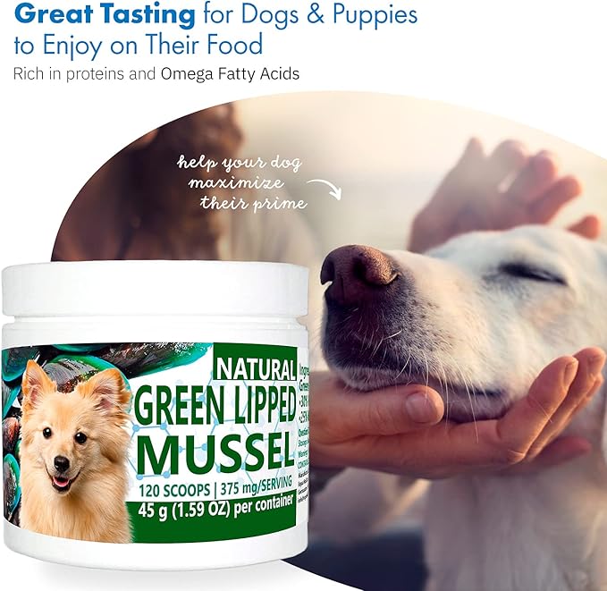 Green Lipped Mussel Powder for Dogs, All-Natural Hip & Joint Support Dietary Supplement Formula for Dogs (120 Servings)