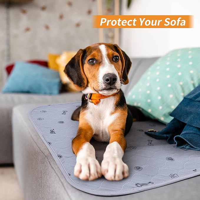 Washable Puppy Pads 2Pack , 41x41 Reusable Pee Pads for Dogs, Absorbent Whelping Pads with Bone Print, Waterproof Dog Rug Non-Slip Protector for Housbreaking,Potty Training,Bed Couch Carpet