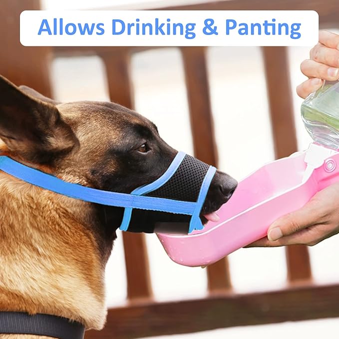 LUCKYPAW Dog Muzzle Anti Biting Barking and Chewing with Comfortable Mesh Soft Fabric and Adjustable Strap, Suitable for Small, Medium and Large Dogs(Blue Trim,S)
