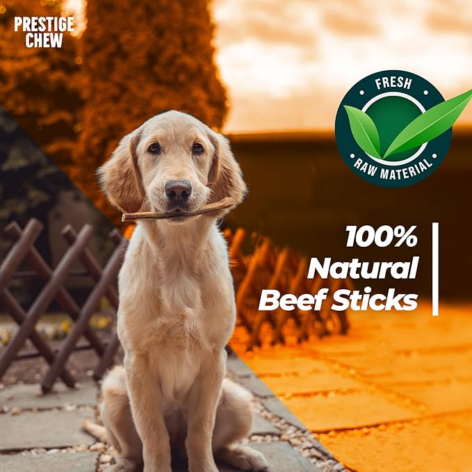 12 Pack 6 Inches Bully Sticks - Natural Beef Stick for Dogs, Long Lasting Tasty Dental Treats, Chewing Bones for Dog, Odorless Bullie Sticks, Bully Bones Made for Dog & Puppies