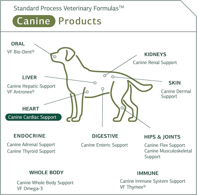 Standard Process - Canine Cardiac Support - Heart Supplement for Dogs - 25 Grams