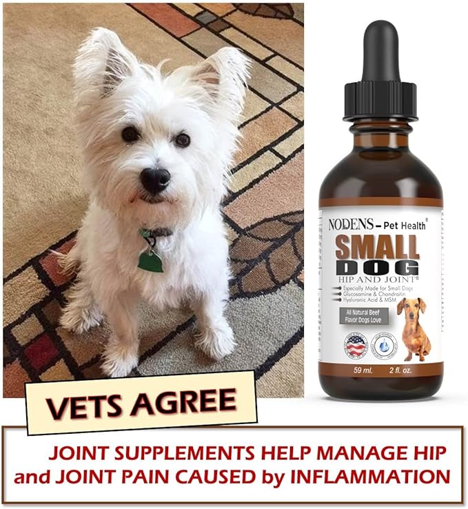 NODENS Small Dog Hip and Joint Liquid Glucosamine for Dogs with Chondroitin & MSM Hyaluronic Acid - Dog Joint Supplement for Dog Joint Flexibility - Glucosamine Natural Pain Relief for Dog Arthritis
