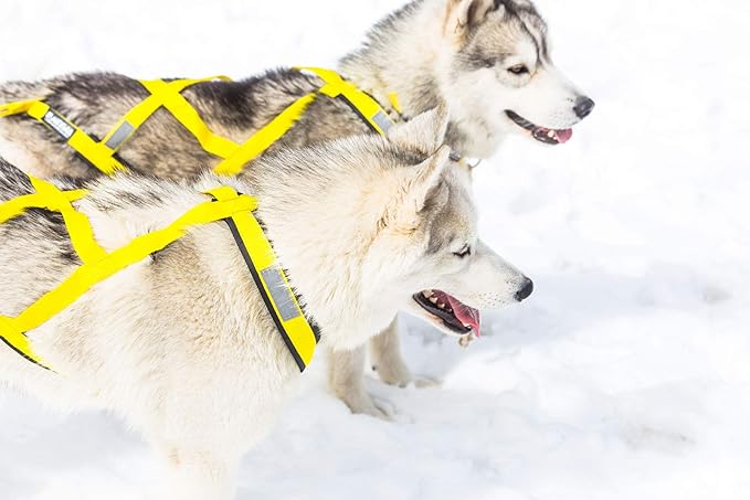 Neewa Sled Pro Harness (X-Large, Yellow), Dog Pulling Harness, Husky Harness, Mushing Harness, X Back Harness Dog for Dog Exercise, Bikejoring, Skijoring, Dog Sledding, Canicross, Dog Harness