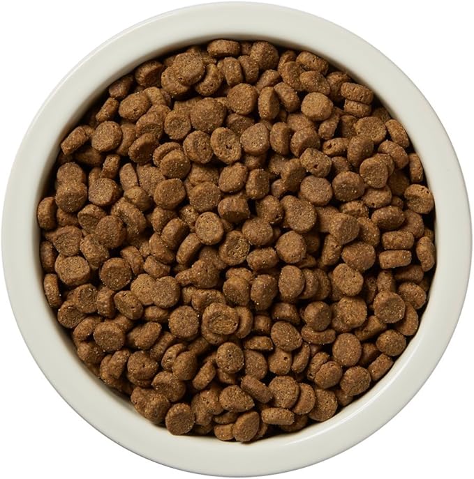 Amazon Brand - Wag Dry Dog Food Grain-Free Salmon & Lentil Recipe, High Protein (4 lb bag)