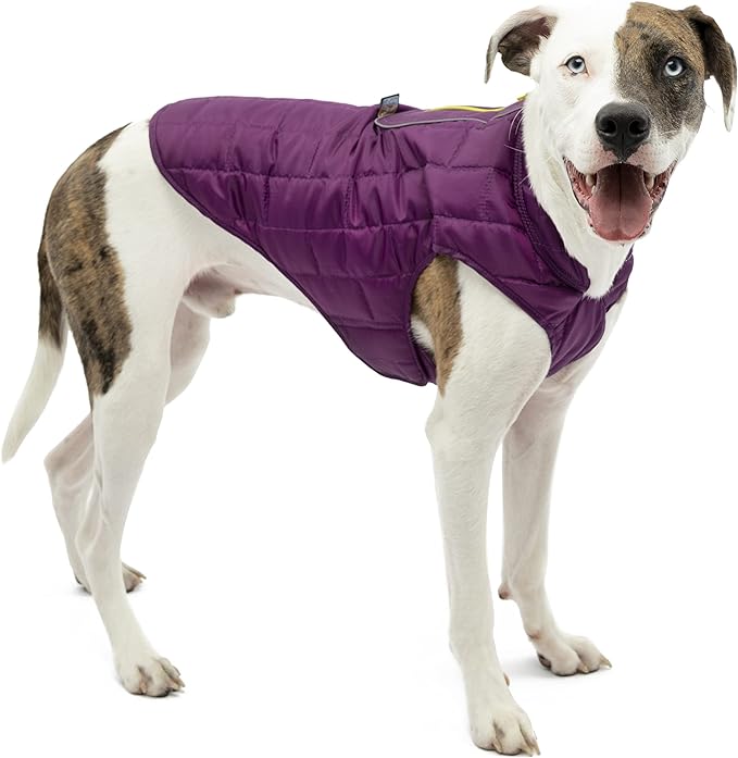 Kurgo Loft Dog Jacket, Reversible Dog Coat, Wear with Harness or Sweater, Water Resistant, Reflective, Winter Coat for Medium Dogs (Deep Violet, M)