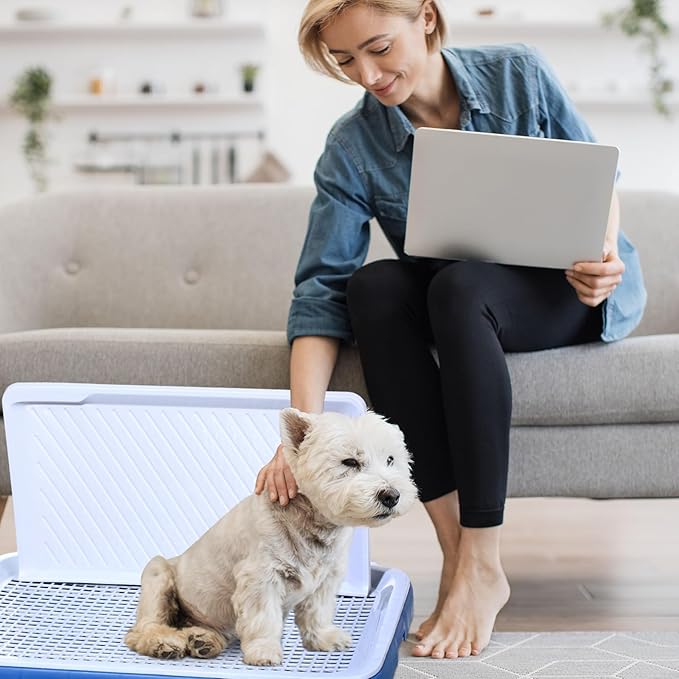 2 Pcs Indoor Dog Potty with Splash Wall Puppy Mesh Training Toilet Portable Pee Pad Holder Pet Training Tray with Pee Baffle Dog Litter Box with Removable Post for Small and Medium Dogs