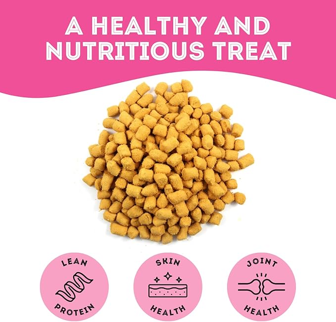 Freeze Dried Salmon Treats for Dogs & Cats (1.76 oz, Pack of 1) - Single Ingredient Dog Treats, Cat Treats - Natural Dog Treats, Grain Free