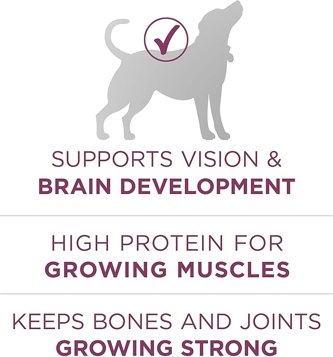 Purina ONE Plus Healthy Puppy Formula High Protein Natural Dry Puppy Food with Added Vitamins, Minerals and Nutrients - 16.5 lb. Bag