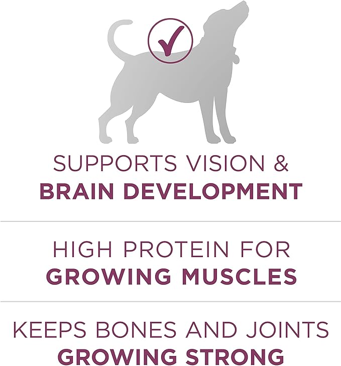 Purina ONE Plus Healthy Puppy Formula High Protein Natural Dry Puppy Food with Added Vitamins, Minerals and Nutrients - 16.5 lb. Bag