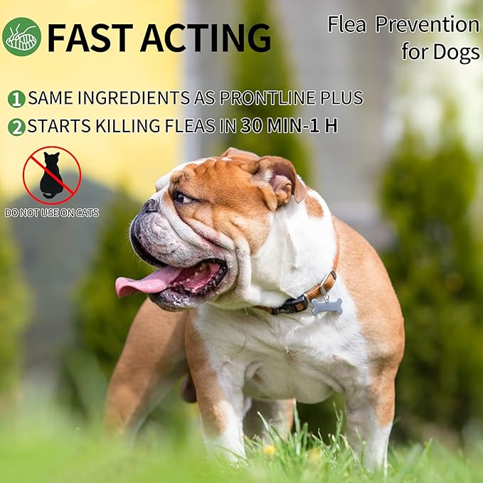 Flea and Tick Prevention for Dogs, Dog Flea & Tick Control with Fipronil, Long-Lasting and Fast-Acting Topical Flea & Tick Treatment Drops for Medium Dogs, 23 to 44 lbs, 3 Doses