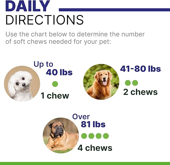 NO Poo Chews for Dogs - Prevent Dog Poop Eating - Coprophagia Treatment - Stool Eating Deterrent - Digestive Health + Breath Aid/Probiotics & Enzymes - Made in USA - 120 Treats