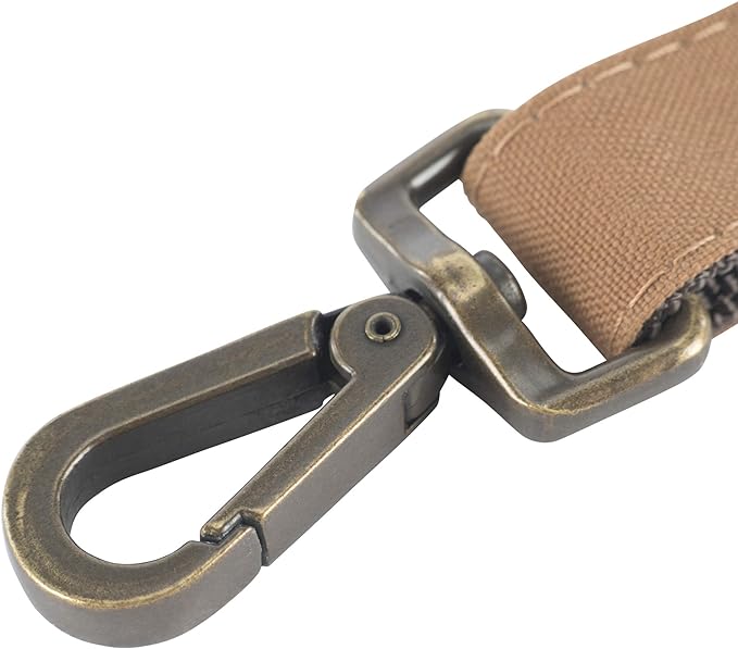 Carhartt Nylon Duck Dog Leash Brown/Dark Brown, Small