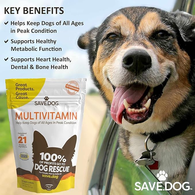Chewable Dog Multivitamin - Dog Vitamins and Supplements – with Amino Acids and Antioxidants to Support Immunity Energy and Wellness - Dog Supplement with a Cause (60 Chews)