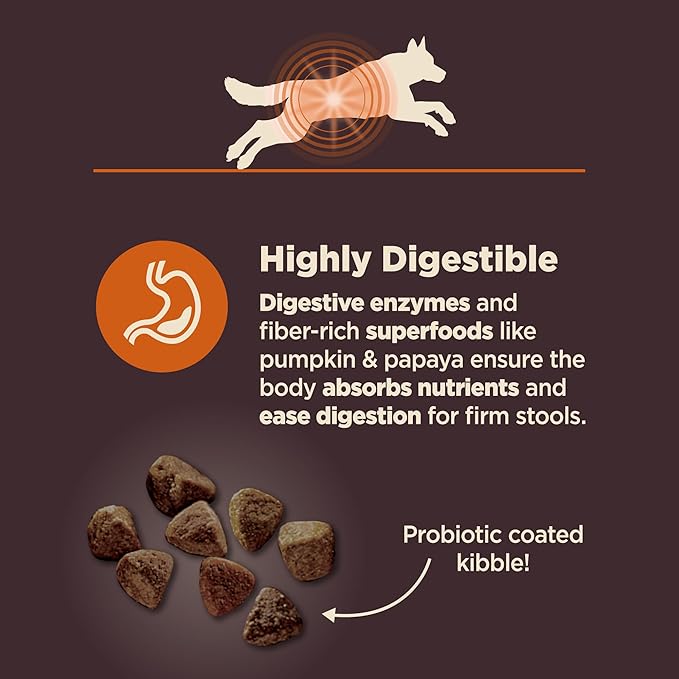 Wellness CORE Digestive Health Dry Dog Food with Wholesome Grains, Highly Digestible, For Dogs with Sensitive Stomachs, Made in USA with Real Chicken (Adult, 24-Pound Bag)