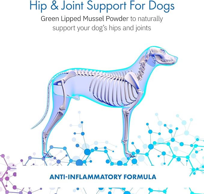Green Lipped Mussel Powder for Dogs, All-Natural Hip & Joint Support Dietary Supplement Formula for Dogs (120 Servings)